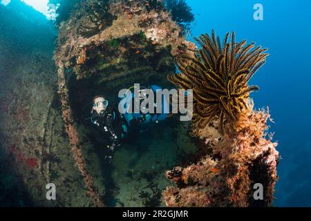 Subacquei sulla poppa della Vittoria Maldive Wreck, Hulhule, Atollo Nord Male, Maldive Foto Stock