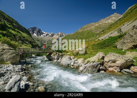 Donna escursioni sul ponte sul torrente Severaisse, Valgaudemar, Parco Nazionale degli Ecrins, Dauphine, Provenza-Hautes Alpes, Francia Foto Stock