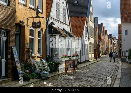 Linea idrica con Theodor Storm House, Husum, Frisia del Nord, Costa del Mare del Nord, Schleswig Holstein, Germania, Europa Foto Stock