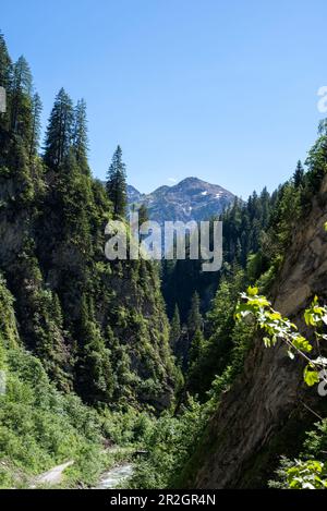 Discesa a Holzgau, sentiero escursionistico europeo a lunga percorrenza E5, attraversando le Alpi, Holzgau, Tirolo, Austria Foto Stock