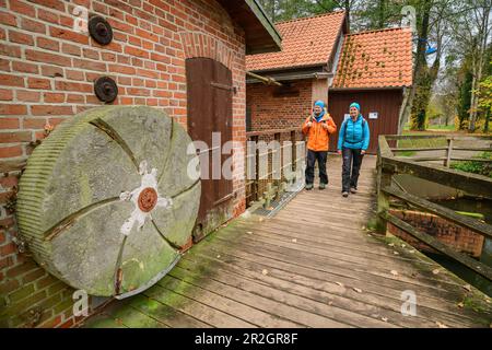 L'uomo e la donna camminano oltre il mulino sul Örtze, Örtze, Müden, Heidschnuckenweg, bassa Sassonia, Germania Foto Stock