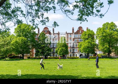 Coppia che gioca la palla con il cane, Turnham Green, Chiswick, London Borough of Hounslow, Greater London, England, United Kingdom Foto Stock