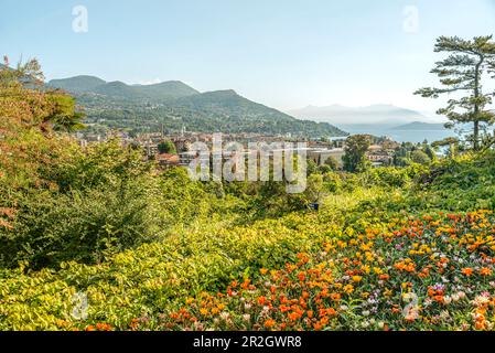 Vista dal giardino di Villa Taranto sul Lago maggiore verso Stresa, Pallanza, Piemonte, Italia Foto Stock