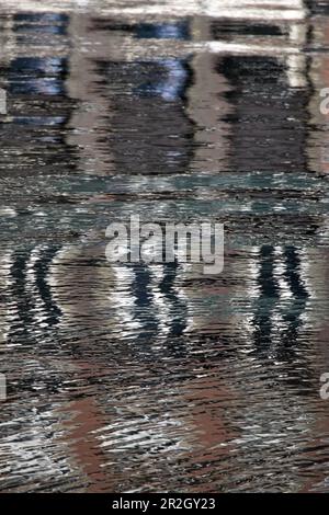 Riflessione delle case nel vecchio porto di Honfleur, Côte Fleurie, Normandia, Francia Foto Stock