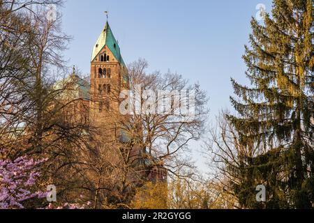 Cattedrale di Speyer, patrimonio dell'umanità dell'UNESCO al tramonto, Speyer, Renania-Palatinato, Germania, Europa Foto Stock