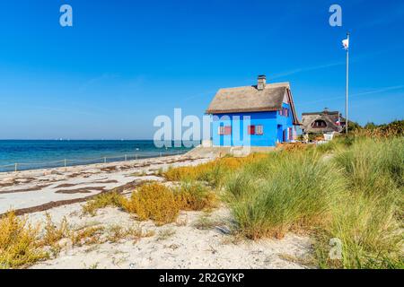 Case vacanze sulla spiaggia della penisola di Graswarder vicino Heiligenhafen, Schleswig-Holstein, Germania Foto Stock