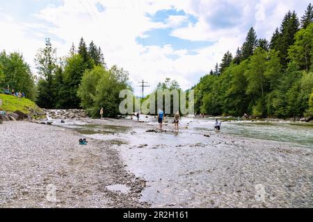 Origine dell'Iller, confluenza dei Tretach, Stillach e Breitach nei pressi di Fischen im Allgäu nel Oberallgäu in Baviera, in Germania Foto Stock