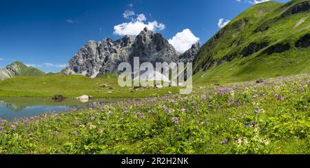 Eissee, Oytal, dietro Grosser Wilder, 2379m, Hochvogel e Rosszahn gruppo, Allgäu Alpi, Allgäu, Baviera, Germania, Europa Foto Stock