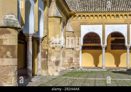 Uno dei cortili interni della Moschea-Cattedrale di Cordoba, Andalusia, Spagna meridionale Foto Stock