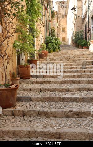 Piante in vaso in vicolo a Fornalutx, Maiorca, Spagna Foto Stock