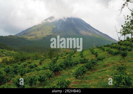 Volcan Arenal domina il paesaggio durante il tramonto, come visto dal Monteverde Foto Stock