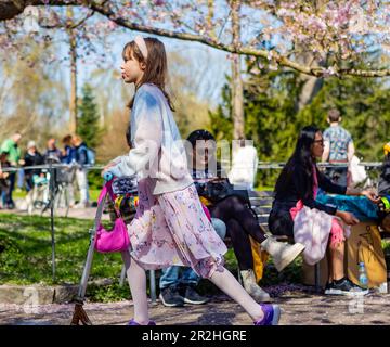 Le persone che visitano la fioritura primaverile dei ciliegi al cimitero di Bispegjerg a Copenaghen, Danimarca Foto Stock