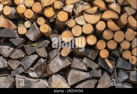 Fotogramma pieno di legna da ardere accatastata nuova e vecchia Foto Stock