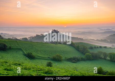 Un'alba nebbiosa a Colmers Hill a Symondsbury vicino a Bridport in Dorset in una calda e limpida mattina primaverile. Foto Stock
