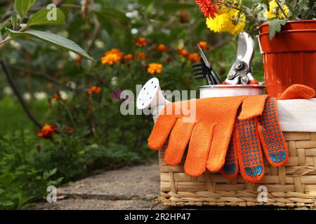 Cestino in vimini con guanti da giardinaggio, fiori in vaso e utensili  all'aperto Foto stock - Alamy