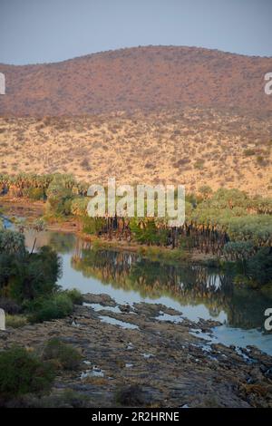 Namibia; Regione di Kunene; Namibia settentrionale; Kaokoveld; a Epupa; Fiume Kunene; paesaggio arido nella stagione secca; fiume di confine con l'Angola Foto Stock