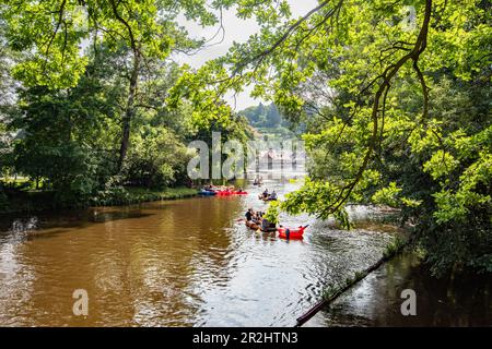 Barche sul fiume Moldava vicino a Cesky Krumlov, Boemia meridionale, Repubblica Ceca Foto Stock