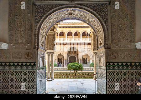 Cortile interno patio de las Doncellas, Palazzo reale Alcazar, Siviglia Andalusia, Spagna Foto Stock