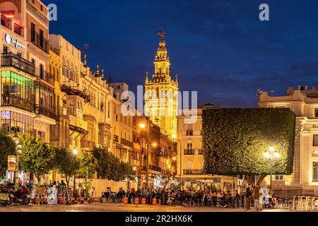 Ristoranti in Plaza de San Francisco e il campanile Giralda della Cattedrale di Santa María de la Sede al crepuscolo, Siviglia, Andalusia, Sp Foto Stock