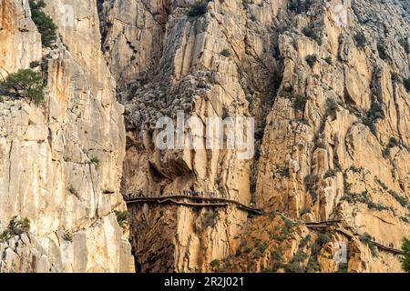 Via ferrata Caminito del Rey alta nelle rocce a El Chorro, Andalusia, Spagna Foto Stock