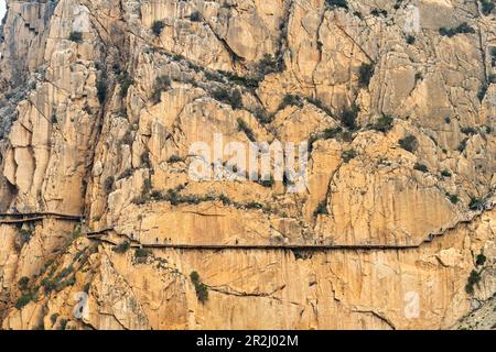 Via ferrata Caminito del Rey alta nelle rocce a El Chorro, Andalusia, Spagna Foto Stock