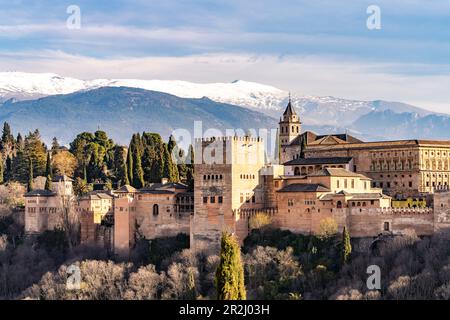 Vista dal Mirador de San Nicolas sull'Alhambra e le montagne innevate della Sierra Nevada, Granada, Andalusia, Spagna Foto Stock