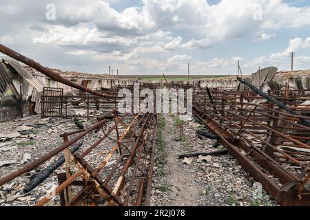 19 maggio 2023, regione di Kherson, Ucraina: Completamente distrutto allevamento di suini durante l'occupazione della fattoria Pershe Travnia del villaggio Velyka Oleksandrivka della regione di Kherson visto dopo la liberazione dall'invasione russa. L'azienda produceva cereali (grano, orzo, girasole), carne (maiale) e altri prodotti; con 100 dipendenti e più di 3.000 ettari di campi, più di 1200 suini. L'azienda è stata completamente distrutta, tutte le attrezzature, raccolto dal 2021, fertilizzanti, tutti gli edifici compresi i depositi di grano e luoghi in cui i maiali sono stati tenuti e nutriti. Dopo aver bombardato i maiali sono stati bruciati vivi, alcuni in panico j Foto Stock