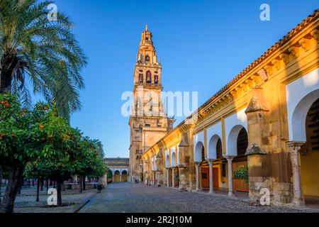 La moschea (Mezquita) e la cattedrale di Cordova e la galleria circostante, patrimonio dell'umanità dell'UNESCO, Cordova, Andalusia, Spagna, Europa Foto Stock