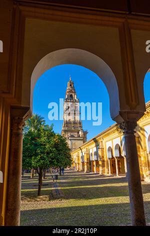 La moschea (Mezquita) e la cattedrale di Cordova e la galleria circostante, patrimonio dell'umanità dell'UNESCO, Cordova, Andalusia, Spagna, Europa Foto Stock