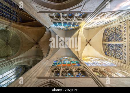 Soffitto a volta della Cattedrale di Saint Gatien a Tours, Valle della Loira, Francia Foto Stock