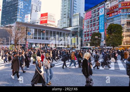 Shibuya attraversando, Tokyo, Honshu, Giappone, Asia Foto Stock