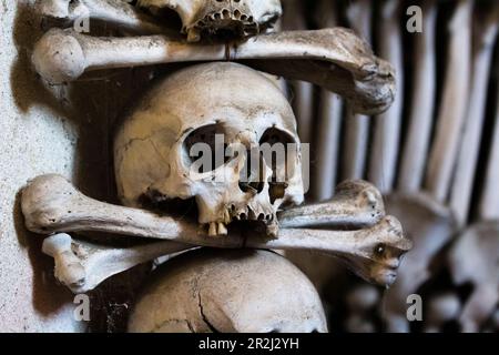 Decorazioni in teschi e ossa umani, interni dell'Ossario di Sedlec, patrimonio dell'umanità dell'UNESCO, Kutna Hora, Repubblica Ceca (Czechia), Europa Foto Stock