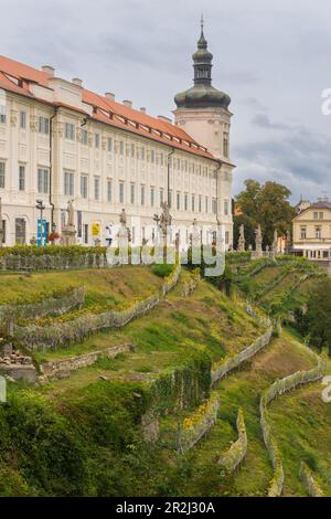 Galleria Boemia centrale e vigneti, Kutna Hora, Repubblica Ceca (Czechia), Europa Foto Stock