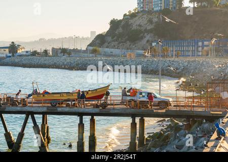 Nave trasportata sul molo di Caleta Portales, Valparaiso, Provincia di Valparaiso, Regione di Valparaiso, Cile, Sud America Foto Stock