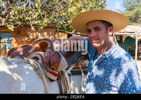 Giovane cavaliere cileno (huaso) che prepara cavalli bianchi al ranch, Colina, Provincia di Chacabuco, Regione Metropolitana di Santiago, Cile, Sud America Foto Stock