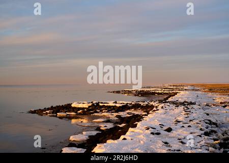 Tramonto alla diga, Cappel-Neufeld, Cuxhaven distretto, bassa Sassonia, Germania Foto Stock