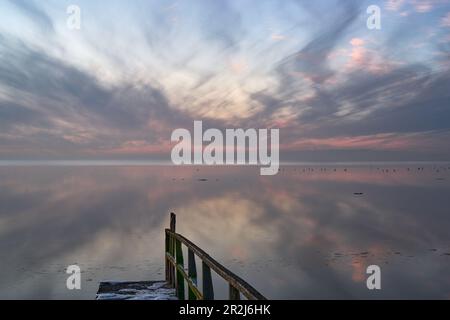 Tramonto alla diga, Cappel-Neufeld, Cuxhaven distretto, bassa Sassonia, Germania Foto Stock