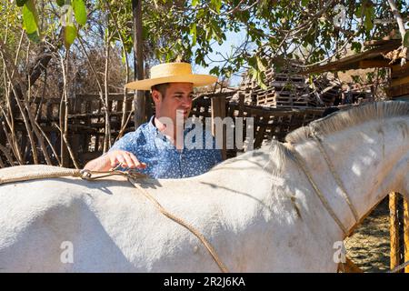 Giovane cavaliere cileno (huaso) che prepara cavalli bianchi al ranch, Colina, Provincia di Chacabuco, Regione Metropolitana di Santiago, Cile, Sud America Foto Stock