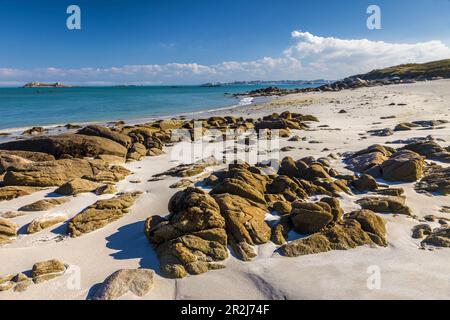 Greve Blanche sull'Ile de Batz, Finistere, Bretagna, Francia Foto Stock