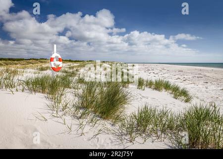 Spiaggia di Dueodde a Bornholm, Danimarca Foto Stock