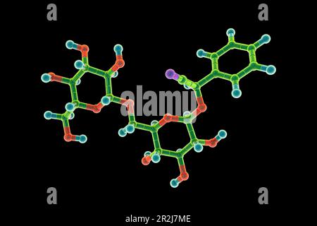 Modello molecolare di amigdalina, illustrazione Foto Stock