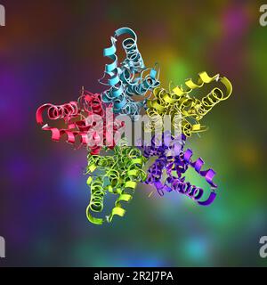 Molecola di proteina Bestrophin-1, illustrazione Foto Stock