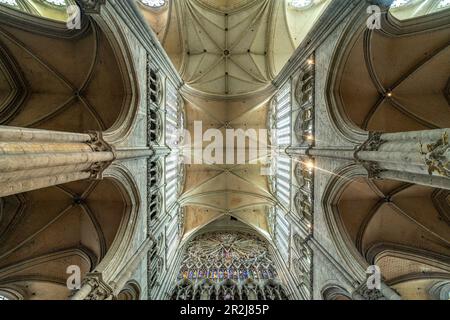 Soffitto della chiesa e colonne di Notre Dame d'Amiens Cattedrale, Amiens, Francia Foto Stock