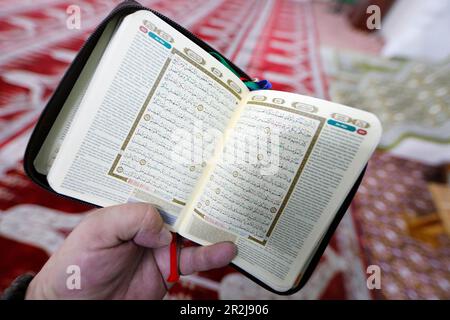 Uomo che legge il Corano in una moschea, primo piano sul libro Santo, ho Chi Minh City, Vietnam, Indocina, Asia sudorientale, Asia Foto Stock