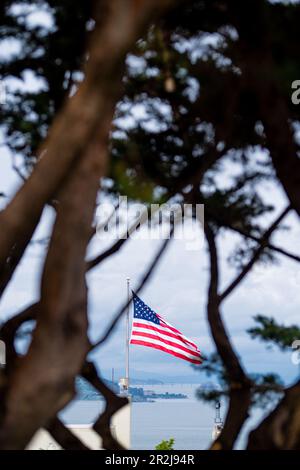Vista della città di San Francisco dalla cima del Telegraph Hill. Foto Stock