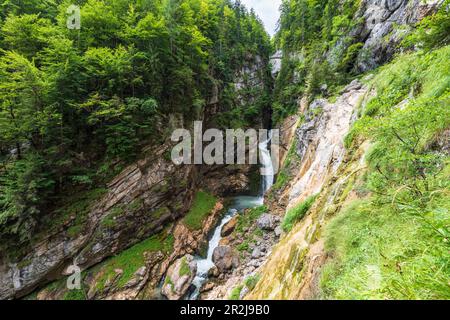 Cascata Waldbachstrub a Echerntal vicino Hallstatt, Salzkammergut, alta Austria, Austria Foto Stock