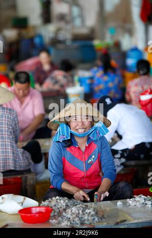 Donna al lavoro in una piccola fabbrica di pesce, preparazione di filetti di pesce, Vung Tau, Vietnam, Indochina, Sud-Est asiatico, Asia Foto Stock