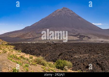 Il cono vulcanico e le colate laviche di Pico do Fogo dopo l'eruzione vulcanica del 2014 sull'isola di Fogo a Capo Verde Foto Stock