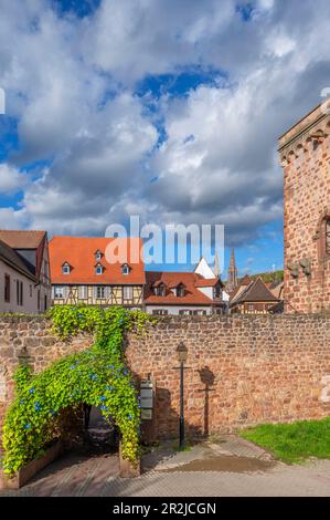 Mura medievali della città di Obernai, Oberehnheim, Bas-Rhin, Route des Vins d'Alsace, Alsace Wine Route, Grand Est, Alsace-Champagne-Ardenne-Lorena, Franc Foto Stock