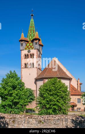 Chiesa di Saint-Georges de Châtenois, Châtenois, Sélestat, basso Reno, Grand Est, Alsazia-Champagne-Ardenne-Lorena, Francia Foto Stock